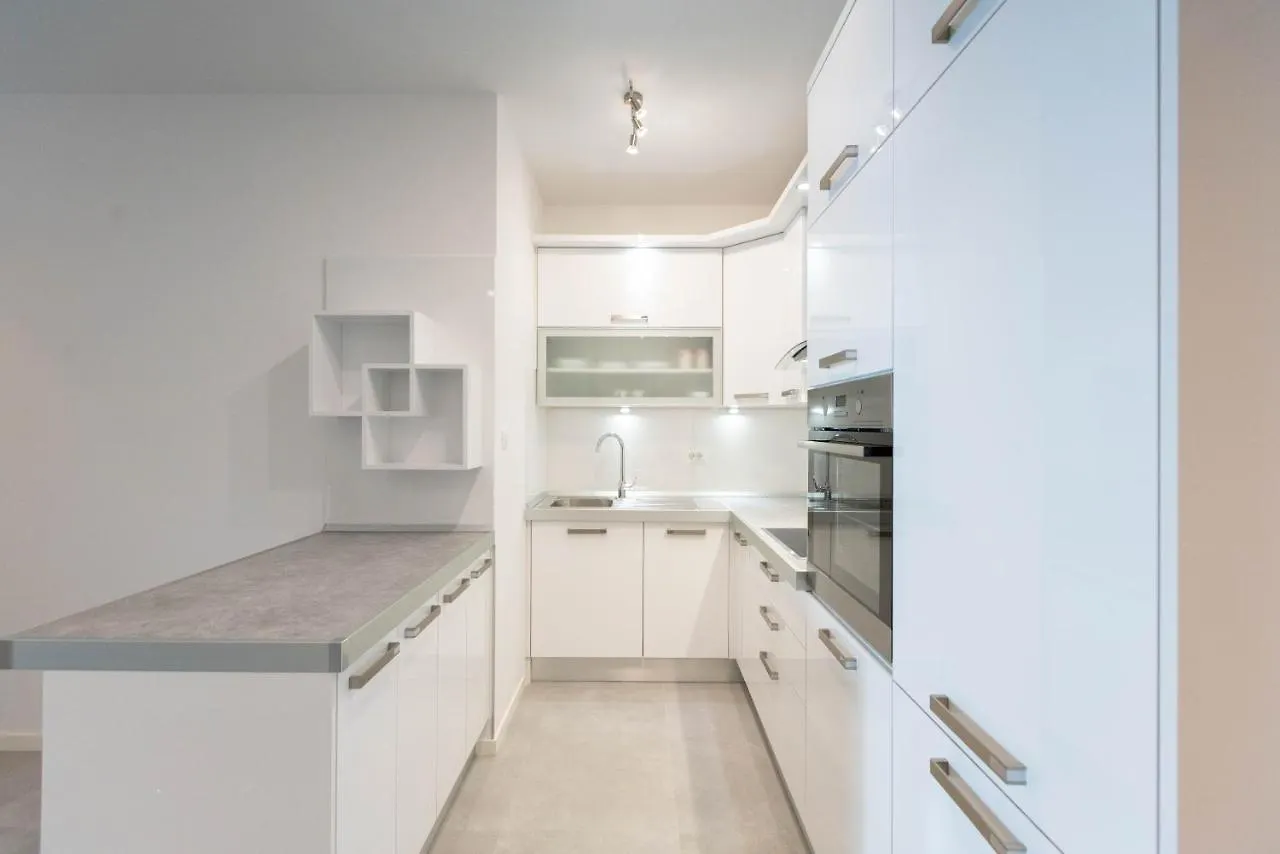 Luxury Apartment 